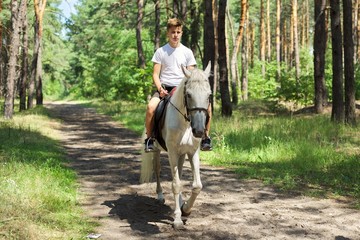 Horse walks, teenager boy riding white horse in summer forest