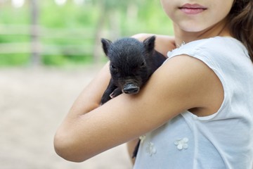 Girl child holding in hands of black newborn baby piglet
