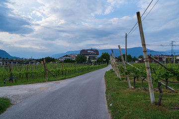 Fototapeta na wymiar The municipality of Appiano near Bolzano in the Italian south of Tyrol.