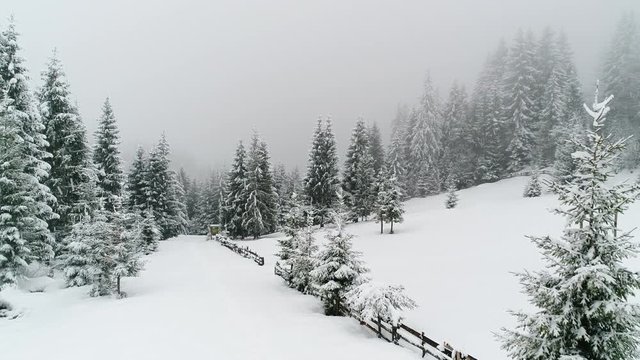 Winter Carpatians nature , realtime snowfall, UHD 4K