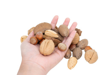 Hand holding mixed nuts isolated on white background.