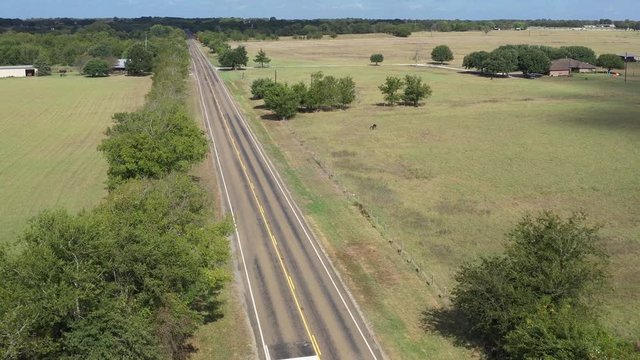 Rural highway with trees and grass, Burleson County, Texas, USA