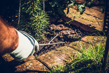 Soil raking. The concept of caring for the garden, the beauty of the garden. Allotment season. Support for work in the garden. Removing grass from the soil.
