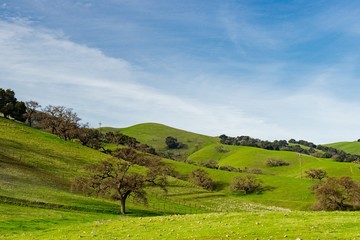 Fototapeta na wymiar landscape with green hills and blue sky