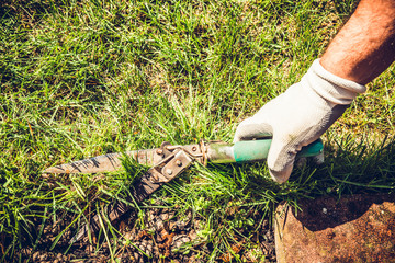 Clipping grass with pruning shears. The concept of caring for the garden, the beauty of the garden. Allotment season. Support for work in the garden. Removing grass from the soil.