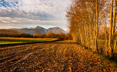 Sunrise autumn landscape in the morning in Italy Friuli