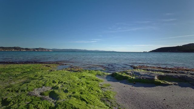 coastal seascape, green algae, sand and rocks