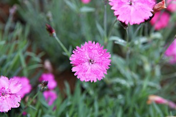 한국 인천시 남동구 인천대공원 입니다