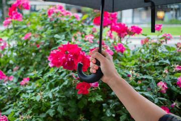 Une femme qui tient son parapluie avec des roses en arrière-plan