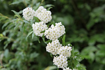 한국 인천시 남동구 인천대공원 입니다