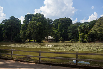 Lago do Horto Florestal