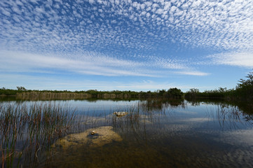 Beautiful summer cloudscape reflected on calm water of Nine Mile Pond in Everglades National Park, Florida with large exposed boulders in foreground.