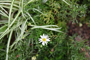 한국 인천시 남동구 인천대공원 입니다