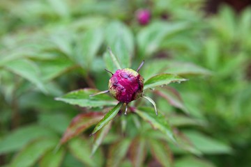 한국 인천시 남동구 인천대공원 입니다