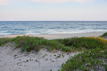 beach sand dunes