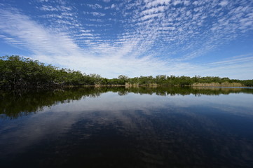 Beautiful summer cloudscape reflected on very calm water of Nine Mile Pond in Everglades National Park, Florida.