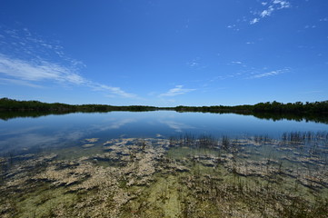 Beautiful summer cloudscape reflected on very calm water of Nine Mile Pond in Everglades National Park, Florida.