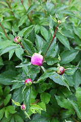 한국 인천시 남동구 인천대공원 입니다