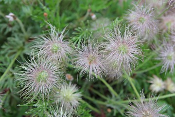 한국 인천시 남동구 인천대공원 입니다