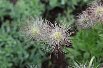 한국 인천시 남동구 인천대공원 입니다