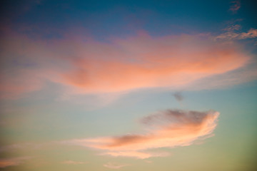 Pequeños maravillosos detalles