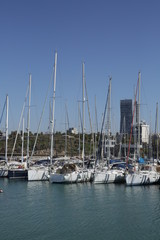 Fototapeta premium marina in Tel Aviv Israel. Banner, poster, background. Vertical photo.