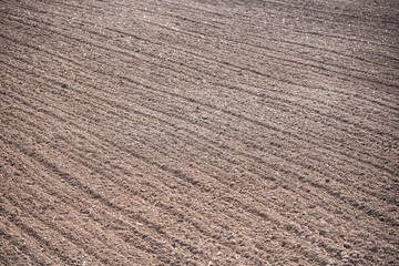 row in a plow field prepared for planting crops in spring - plowed field with truck in agricultural farm countryside