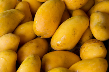 mangos en el mercado