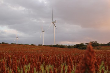 Windfarms in Nicaragua