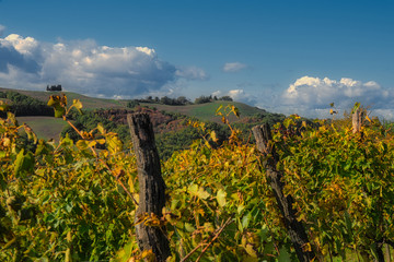 2020-05-10 AN OLD VINEYARD ON A HILL WITH PLOWED FARMLAND AND CLOUDS MOVING IN