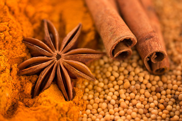 Different spices. Cinnamon sticks, star anise, mustard seeds and turmeric powder. Macro