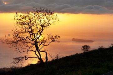 Fototapeta na wymiar Sunset Maui, Ulupalakua, with Molokini Island in the background