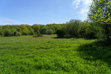 Beautiful natural surroundings at Stenhuvud national park in Simrishamn, Sweden.