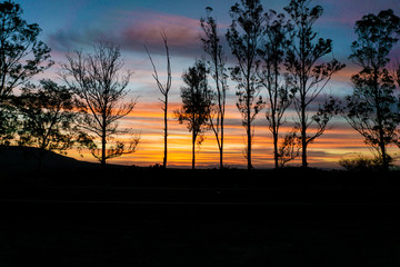 Sombras del atardecer