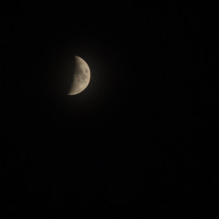 Half-moon floating in the sky.
