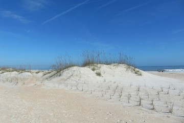 Fototapeta na wymiar Sand dunes on the Florida beach