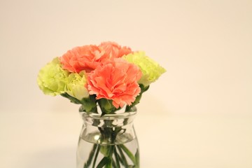 カーネーション