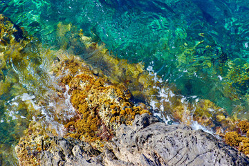 Coastal Shore