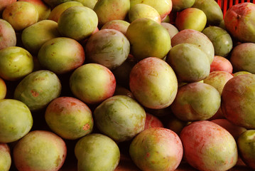 mango, organica, bombones, delicioso, agricultura, 