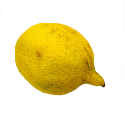 Limon