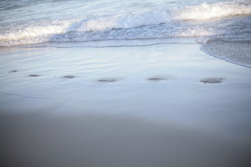 Sand beach, Stradbroke Island beach , surf water, waves, rocks fish, dead fish, toad fish salt water, 
