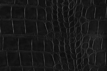 Black crocodile  skin or reptile leather of high quality and high resolution. Texture and background of crocodile dark black leather in square pattern for wallets, purse, bags and interior design.