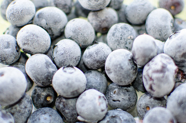 blueberries close up