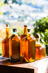 dramatic image of fresh kombucha probiotic drink fermenting with fresh mango for flavoring, made with black tea.