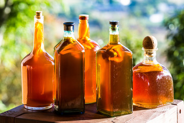 dramatic image of fresh kombucha probiotic drink fermenting with fresh mango for flavoring, made with black tea.