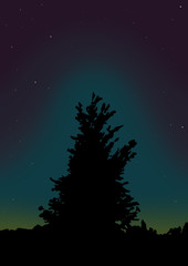 夜
