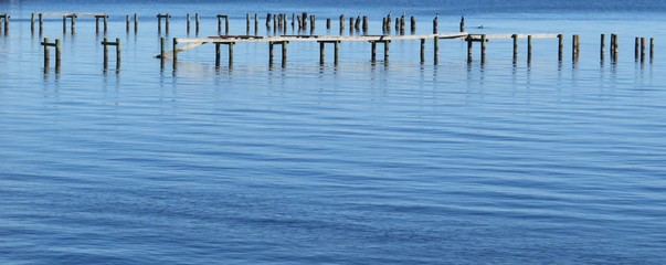 Blue river water background in Florida nature