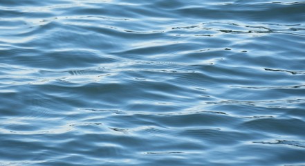 Beautiful light blue еmerald water surface with soft waves on Florida river, natural water background 