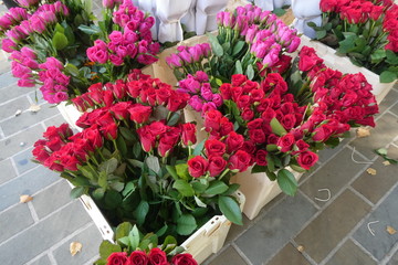Fototapeta na wymiar Flower Market