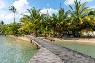 tropical beach with palm trees